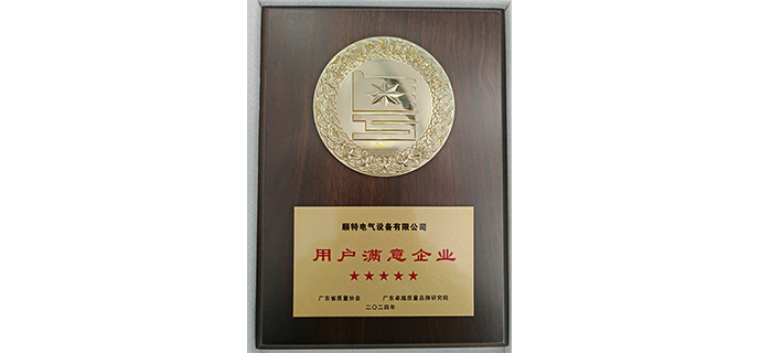 SUNTEN Awarded 2024 Guangdong 5-Star Customer Satisfaction Certificate